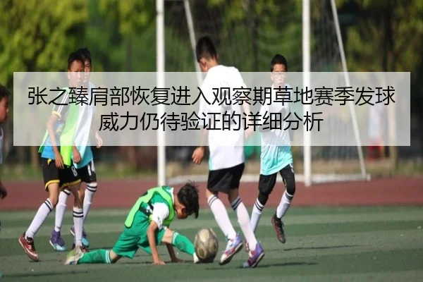 张之臻肩部恢复进入观察期草地赛季发球威力仍待验证的详细分析
